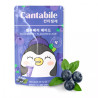 CANTABILE Blueberry Ade 230ml KR