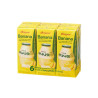Binggrae Banana Flavored Milk Drink – 200 ml à Lille