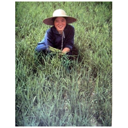 🧥 Veste bleue de Chine traditionnelle – Coton unisexe