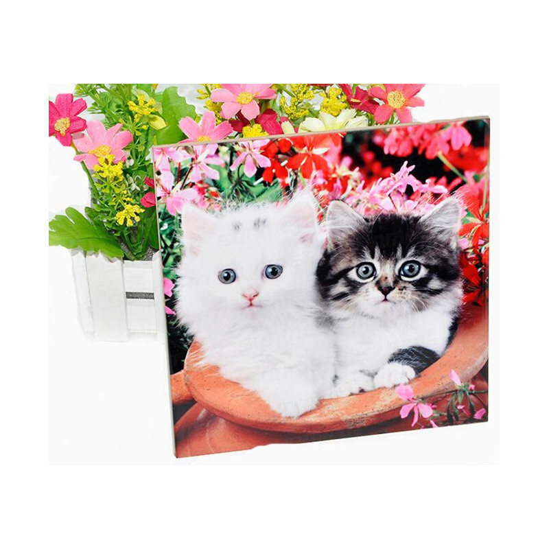 🧱 Carrelage blanc personnalisable – 15,2 × 15,2 cm